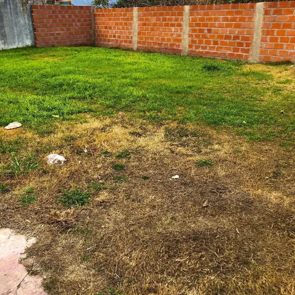 Foto 12