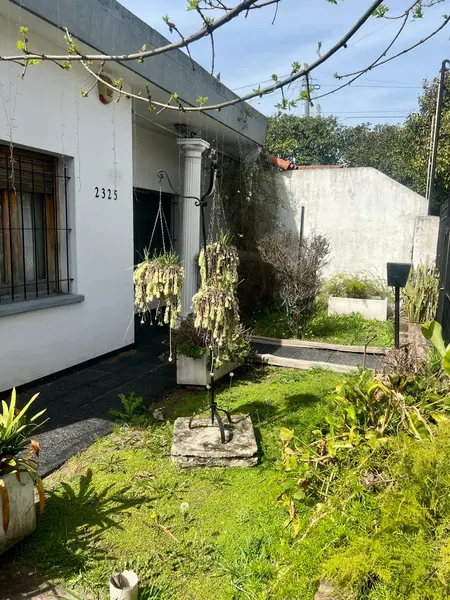Foto 3