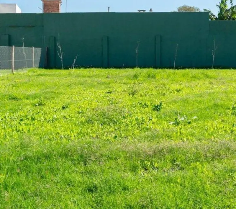 Foto 11