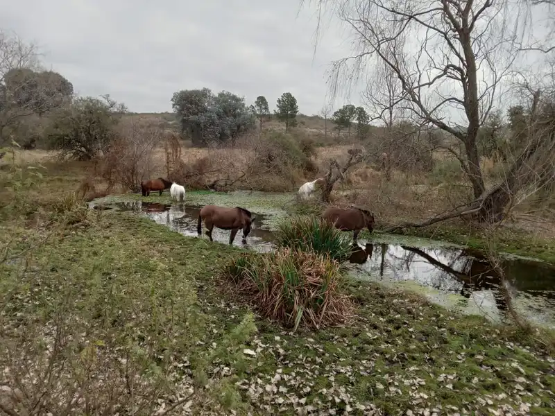 Terreno en venta · Cabalango, Punilla, Córdoba