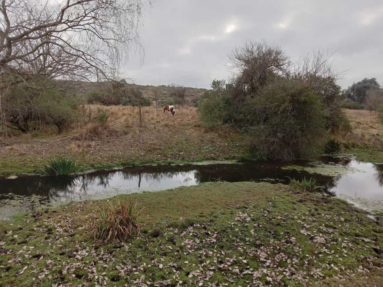 Terreno en Venta en Cabalango, 33 Ha., con arroyo.