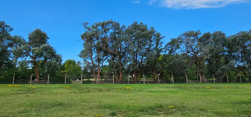Terreno en venta · Los Cardos, Pilar, GBA Norte, Provincia de Buenos Aires