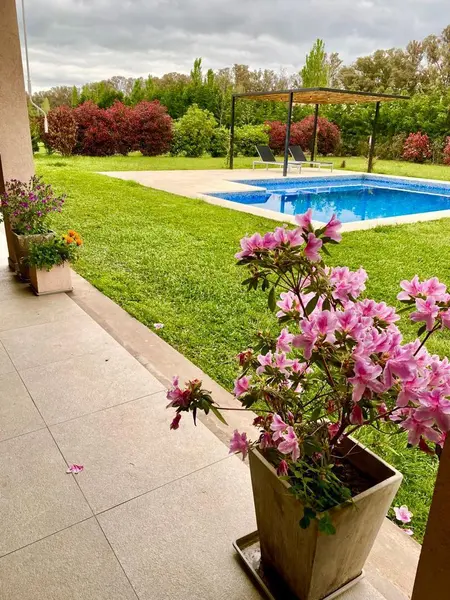 Foto 19