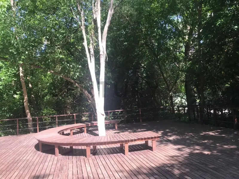 Foto 27