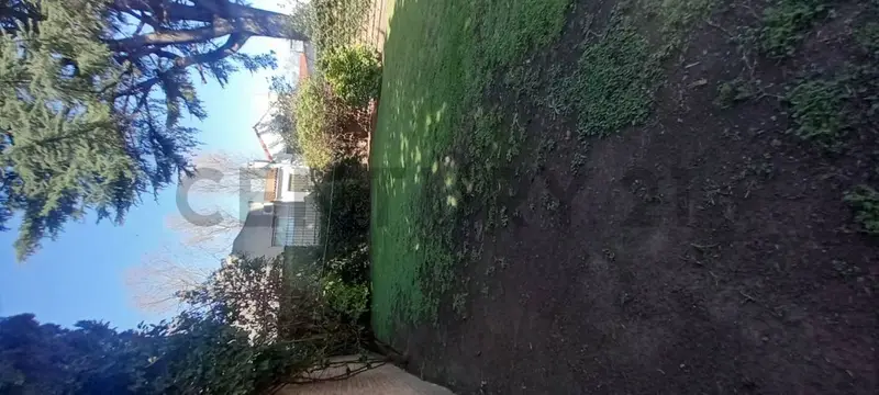 Foto 53