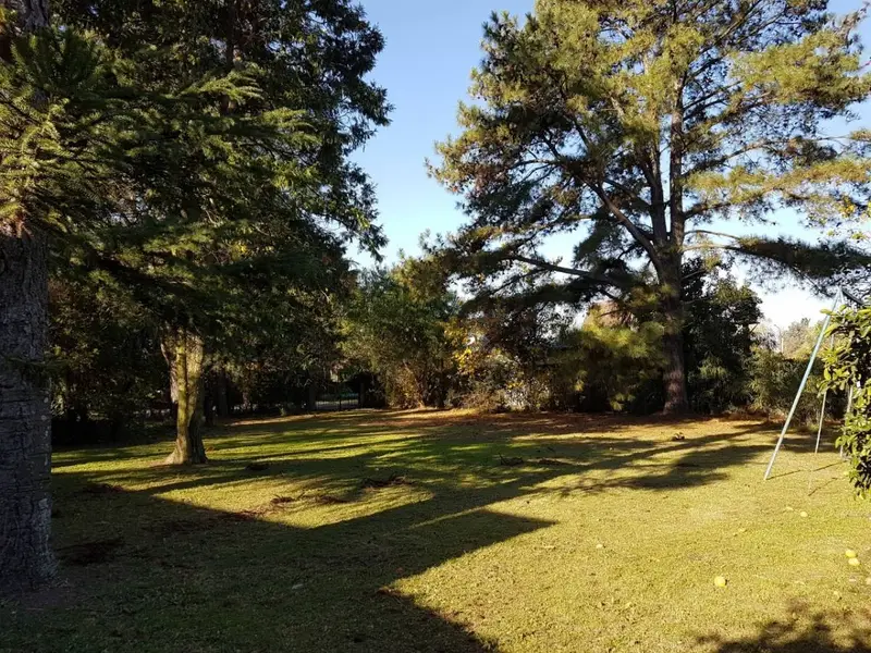 Foto 11