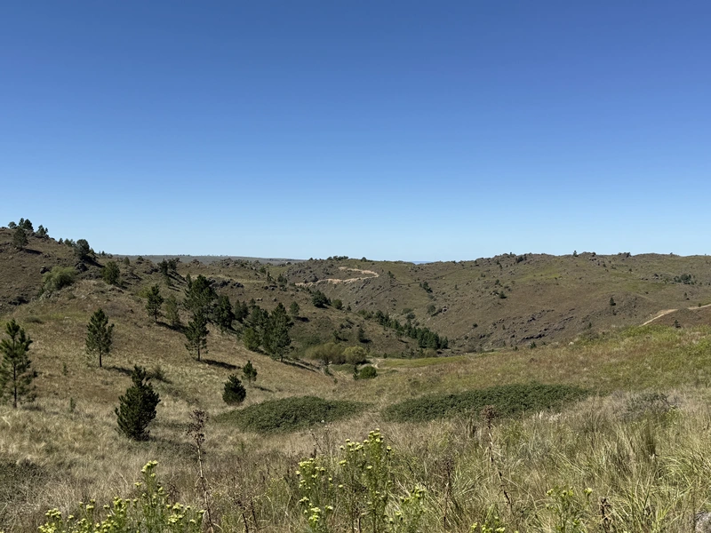 IMG_6208.jpeg