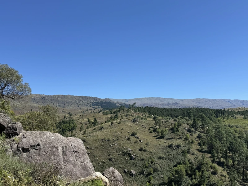 IMG_6198.jpeg