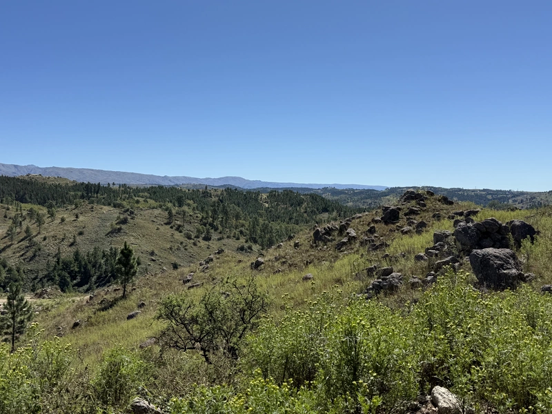 IMG_6184.jpeg