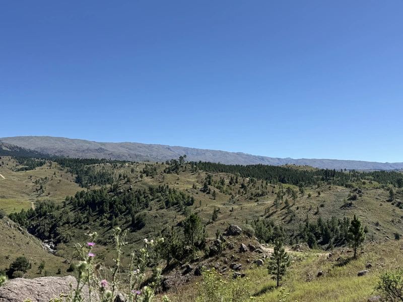 IMG_6183.jpeg