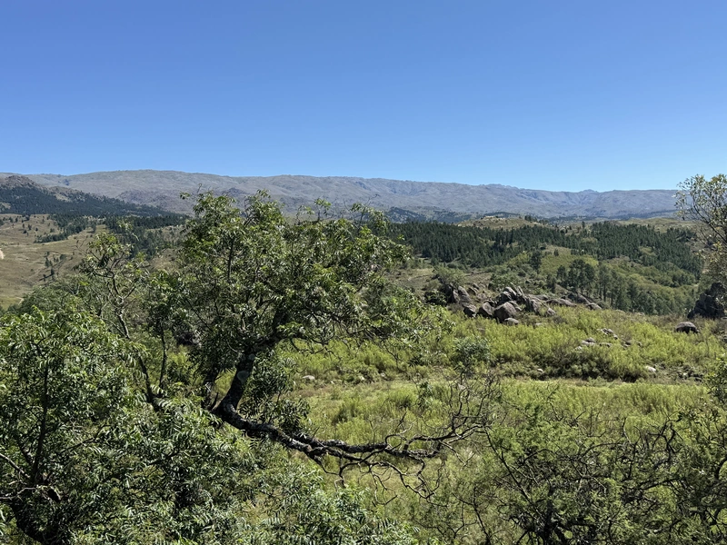 IMG_6186.jpeg