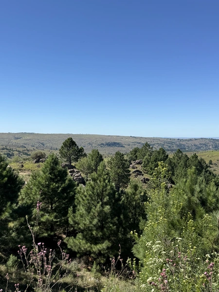 IMG_6179.jpeg