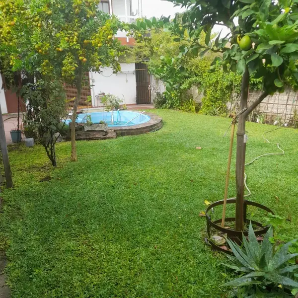 Foto 7