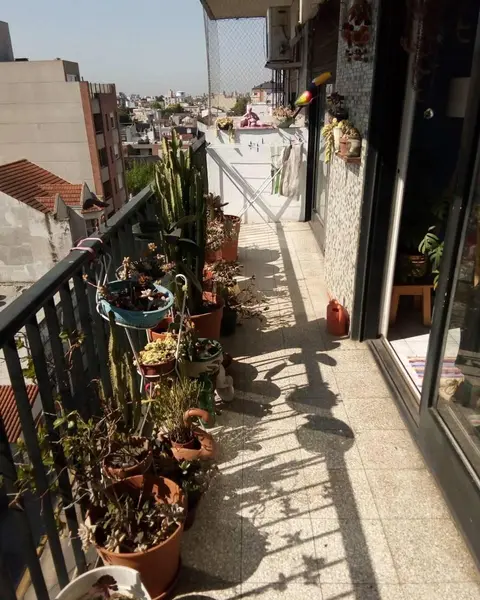 Foto 21