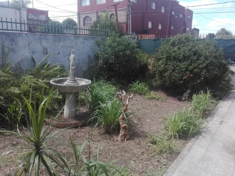 Foto 10