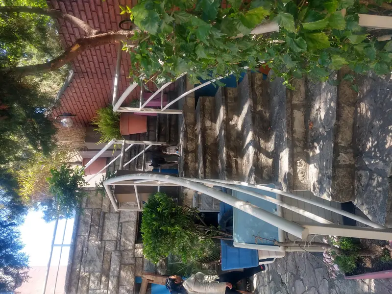 Foto 50