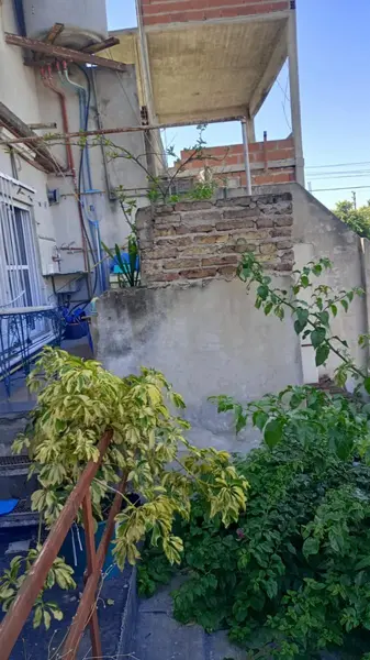 Foto 7