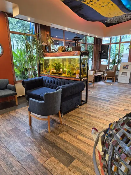 Foto 11