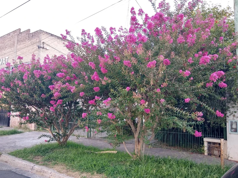 Casa en venta · Rincón de Milberg, Tigre, GBA Norte, Provincia de Buenos Aires