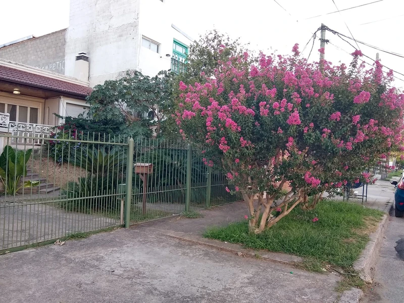 Foto 35