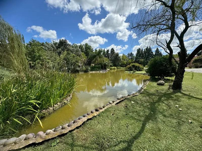 Foto 71