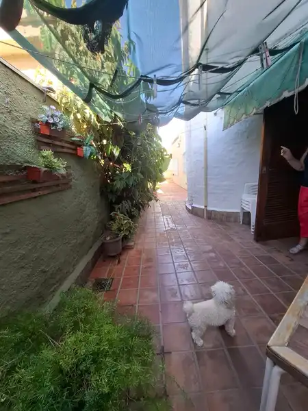 Foto 16