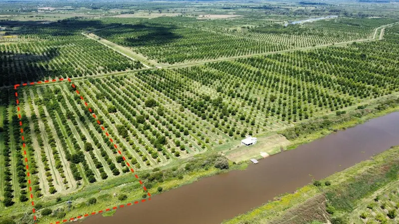 Terreno en venta · Villa Paranacito, Islas del Ibicuy, Entre Ríos