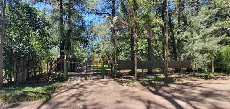 Foto 7