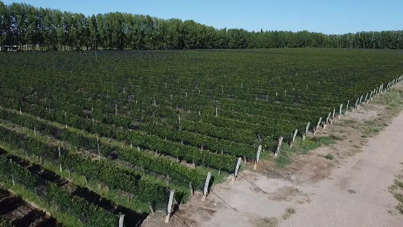 Terreno en venta · Cuadro Benegas, San Rafael, Mendoza