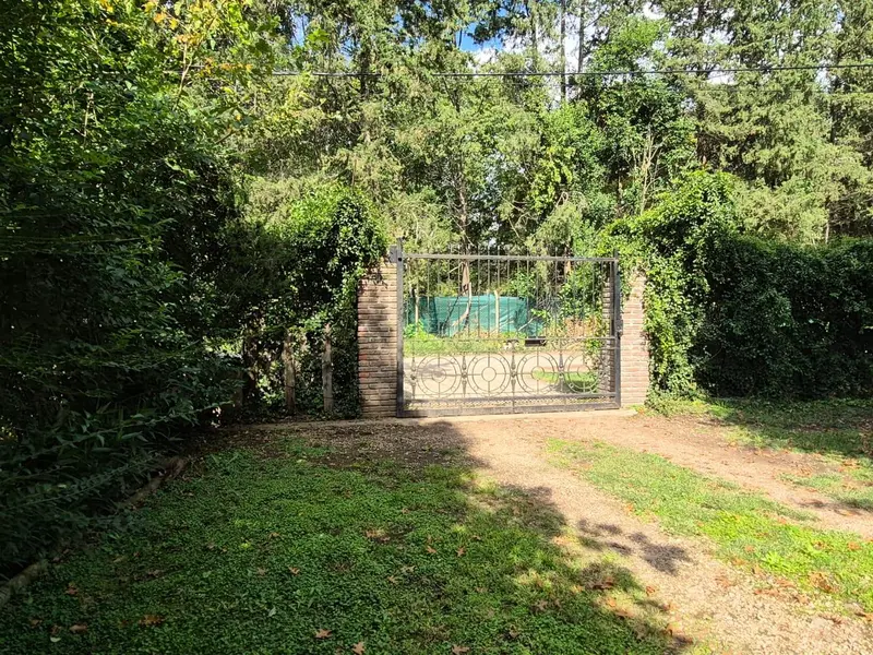 Foto 13