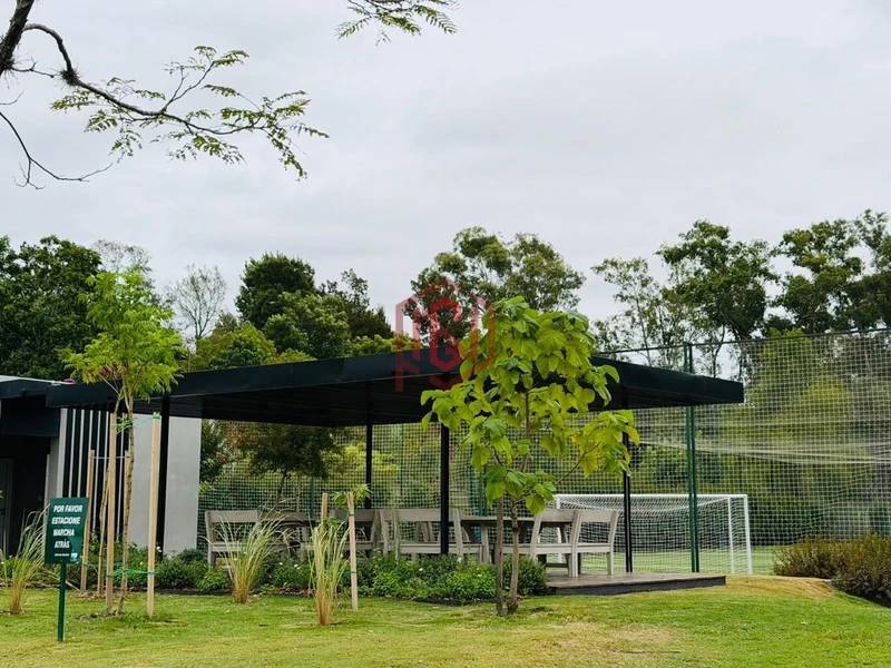 Foto 99