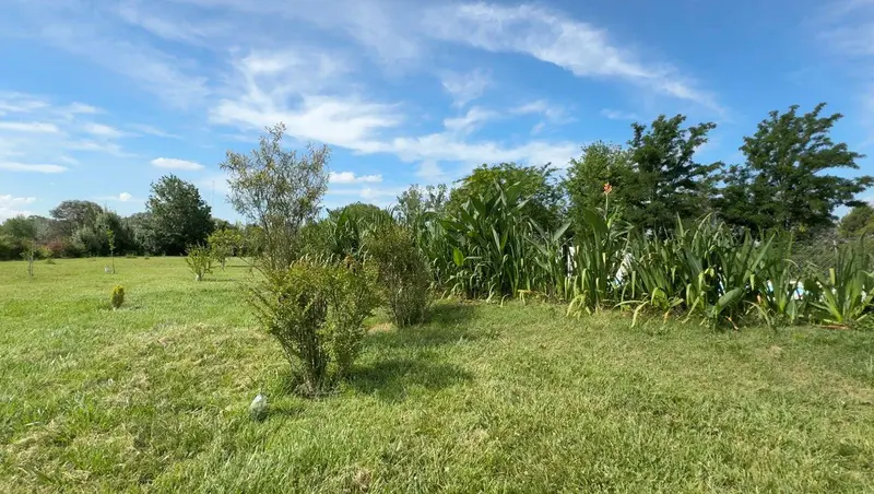 Foto 22