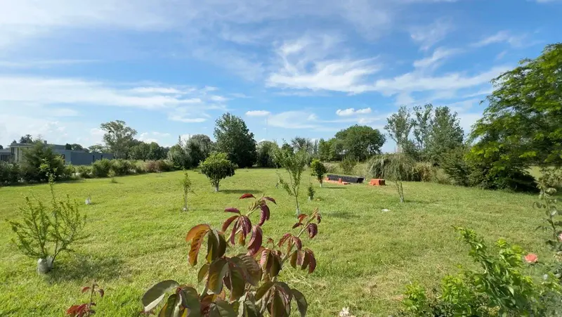 Foto 20