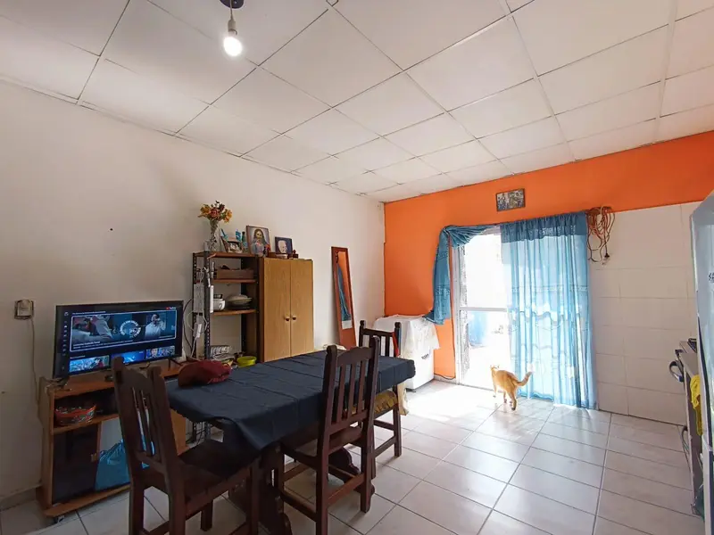 Foto 7