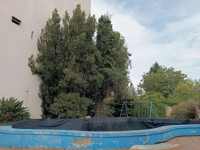 Foto 7