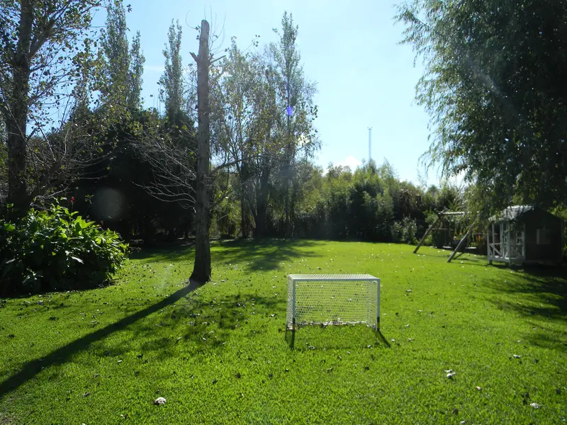 Foto 11