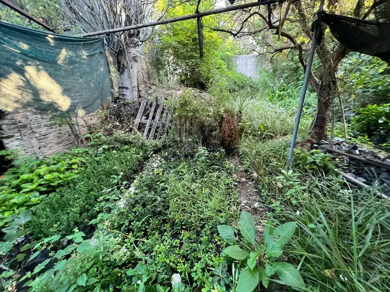Foto 45