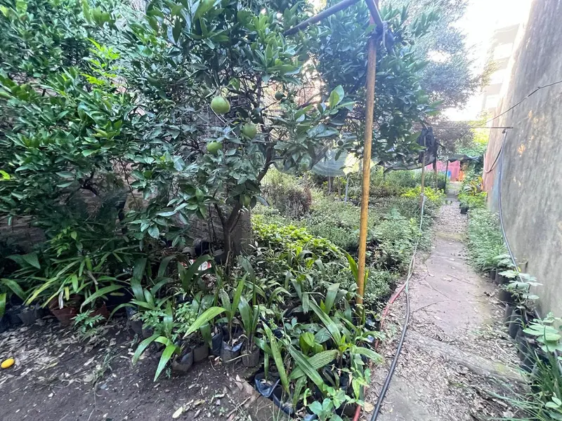 Foto 41