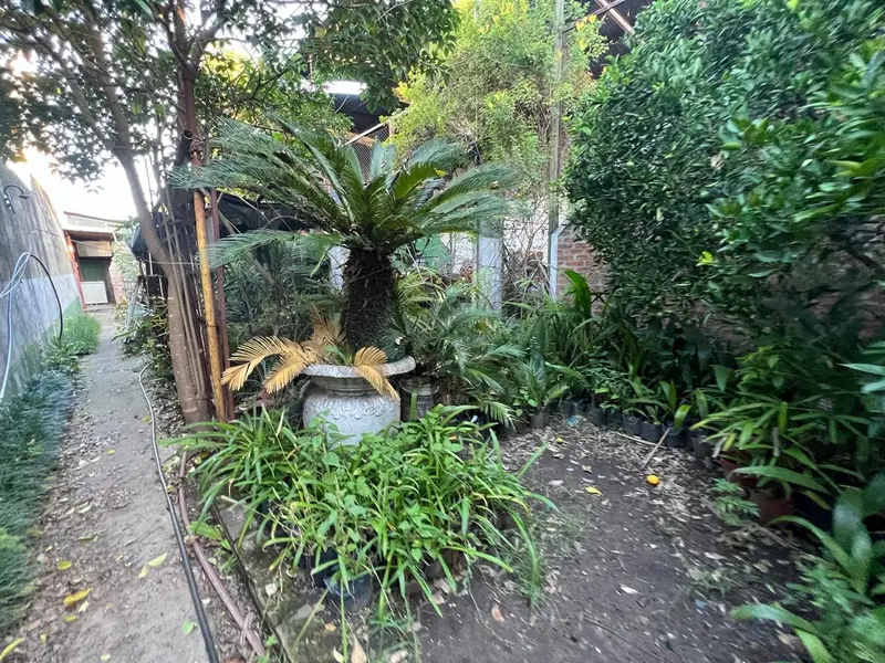 Foto 40