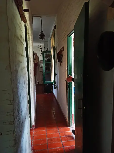 Foto 7