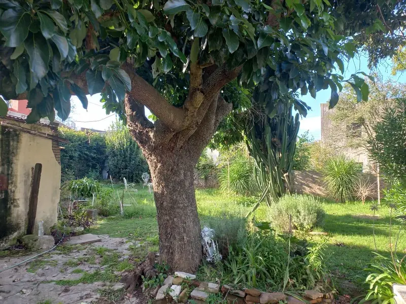 Foto 14