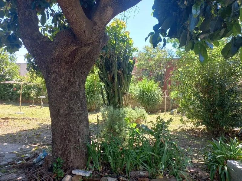 Foto 15