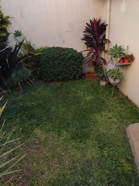 Foto 39