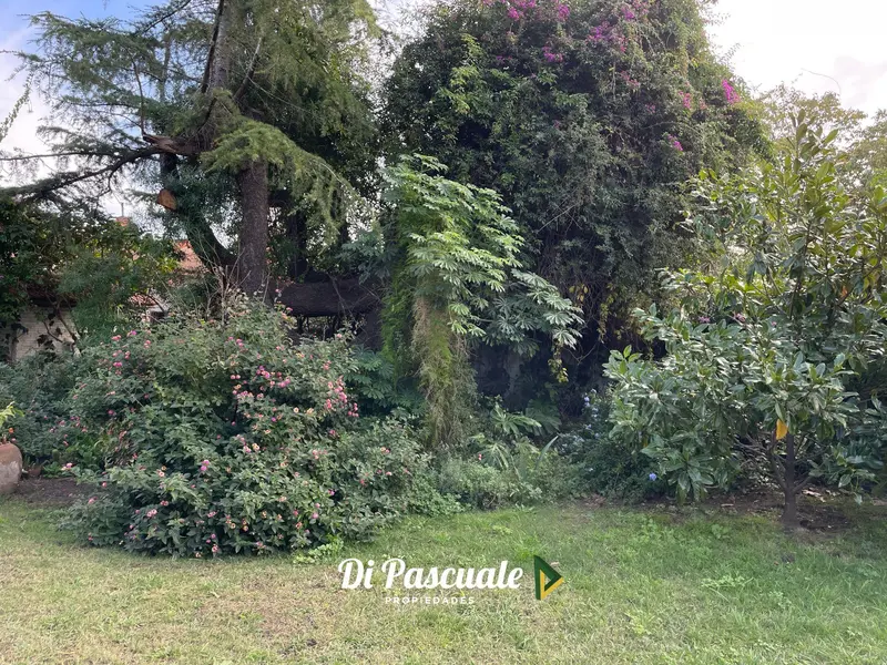 Foto 8