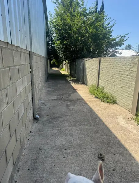 Foto 15