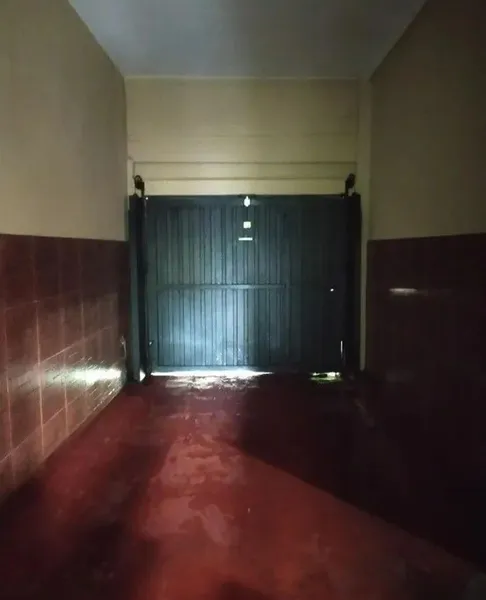 Foto 7