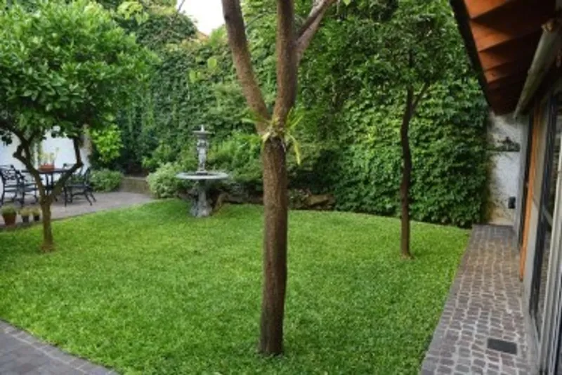 Foto 9
