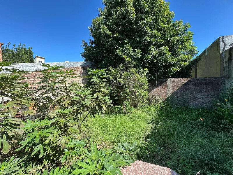 Foto 19