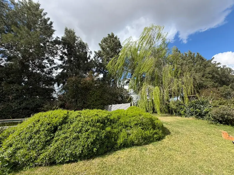 Foto 42