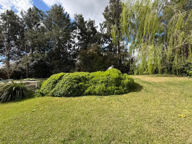 Foto 40